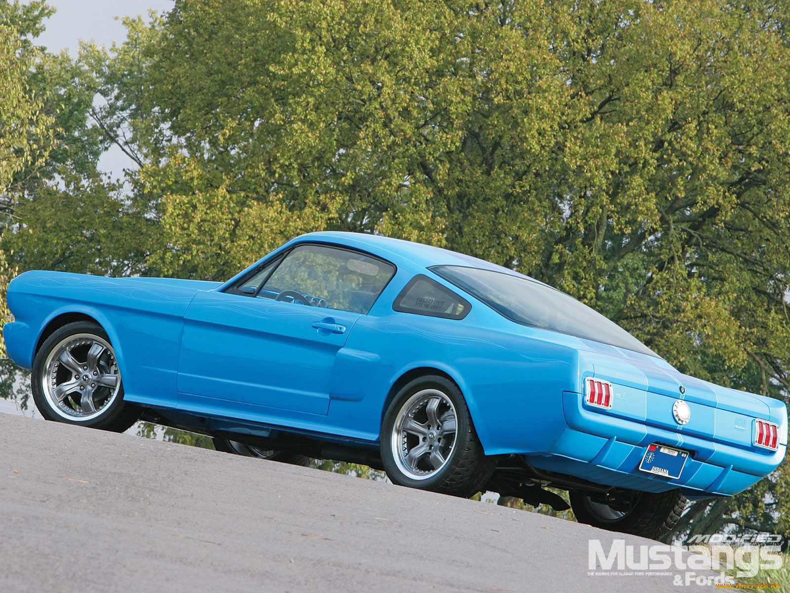 , mustang